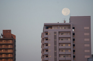 DSC07736.JPG