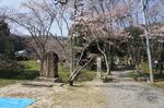 DSC08651.jpg