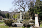 DSC08653.jpg