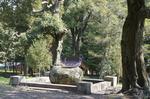 DSC08654.jpg