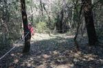 DSC08686.jpg