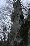 DSC08695.jpg