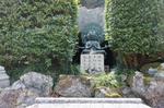 DSC08716.jpg