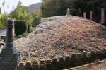 DSC08723.jpg
