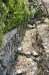DSC08731.jpg