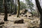 DSC08753.jpg