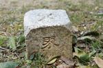 DSC08791.jpg