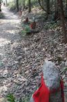 DSC08794.jpg