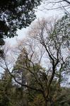 DSC08796.jpg