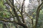 DSC08803.jpg