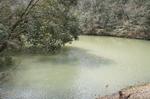 DSC08813.jpg
