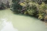 DSC08823.jpg