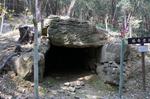 DSC08827.jpg