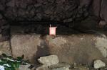DSC08831.jpg