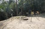 DSC08834.jpg