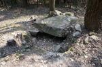 DSC08835.jpg