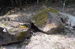 DSC08836.jpg