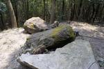 DSC08839.jpg