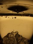 DSCF7057.jpg