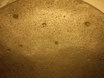 DSCF7063.jpg