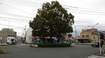 KIMG0345.JPG