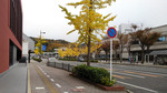 KIMG0359.JPG