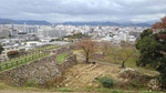 KIMG0391.JPG