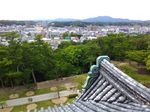 P_20170826_135320.jpg
