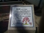 P_20170827_104324.jpg