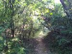 P_20170828_091547.jpg