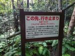 P_20170828_091936.jpg
