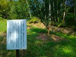 P_20170828_092612.jpg