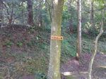 P_20170828_092816.jpg