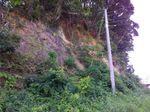 P_20170828_094905.jpg
