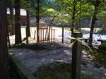 P_20170828_100826.jpg