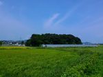P_20170828_113730.jpg