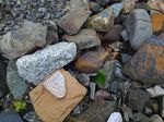 P_20170906_131348.jpg