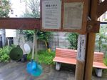 P_20170907_092700.jpg