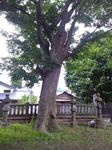 P_20170907_121415.jpg