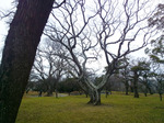 P_20180107_130502.jpg