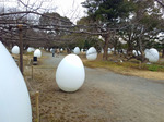 P_20180107_130638.jpg