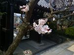 P_20180315_115843.jpg