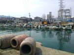 P_20180315_121608.jpg