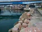P_20180315_121635.jpg