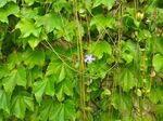 P_20180428_160315.jpg