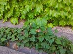 P_20180428_160328.jpg