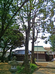 P_20180722_094913.jpg