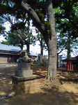 P_20180722_095138.jpg