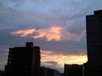 P_20180901_183033.jpg