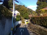 P_20190114_094250.jpg